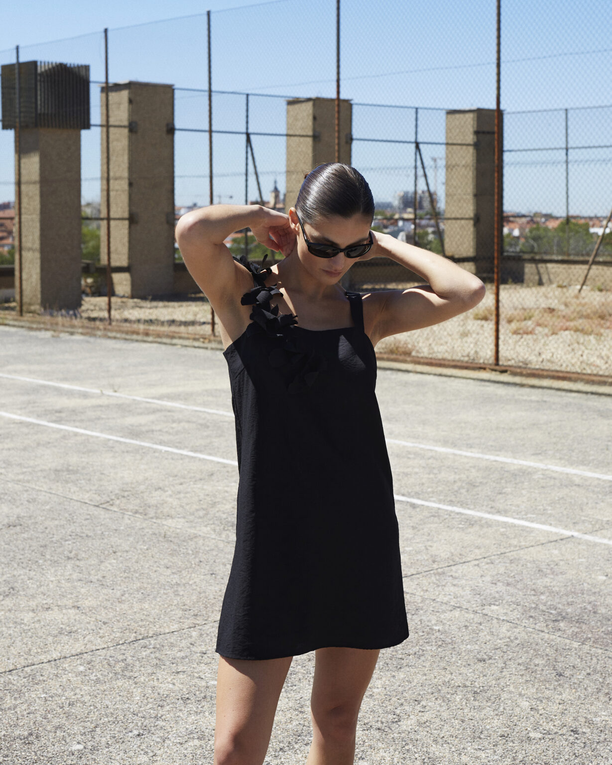 WILD PONY WHO STUDIO32281